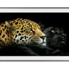 Meilleur Prix Garanti Téléviseurs Samsung 43LS03A – The Frame QLED 4K – Smart TV 43″ 26